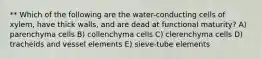 ** Which of the following are the water-conducting cells of xylem, have thick walls, and are dead at functional maturity? A) parenchyma cells B) collenchyma cells C) clerenchyma cells D) tracheids and vessel elements E) sieve-tube elements