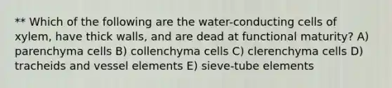 ** Which of the following are the water-conducting cells of xylem, have thick walls, and are dead at functional maturity? A) parenchyma cells B) collenchyma cells C) clerenchyma cells D) tracheids and vessel elements E) sieve-tube elements