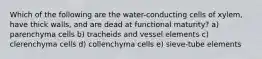 Which of the following are the water-conducting cells of xylem, have thick walls, and are dead at functional maturity? a) parenchyma cells b) tracheids and vessel elements c) clerenchyma cells d) collenchyma cells e) sieve-tube elements