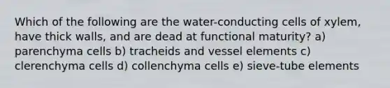 Which of the following are the water-conducting cells of xylem, have thick walls, and are dead at functional maturity? a) parenchyma cells b) tracheids and vessel elements c) clerenchyma cells d) collenchyma cells e) sieve-tube elements