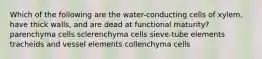 Which of the following are the water-conducting cells of xylem, have thick walls, and are dead at functional maturity? parenchyma cells sclerenchyma cells sieve-tube elements tracheids and vessel elements collenchyma cells