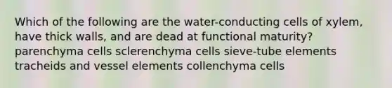 Which of the following are the water-conducting cells of xylem, have thick walls, and are dead at functional maturity? parenchyma cells sclerenchyma cells sieve-tube elements tracheids and vessel elements collenchyma cells