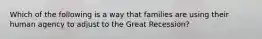 Which of the following is a way that families are using their human agency to adjust to the Great Recession?