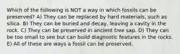 Which of the following is NOT a way in which fossils can be preserved? A) They can be replaced by hard materials, such as silica. B) They can be buried and decay, leaving a cavity in the rock. C) They can be preserved in ancient tree sap. D) They can be too small to see but can build diagnostic features in the rocks. E) All of these are ways a fossil can be preserved.