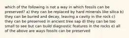 which of the following is not a way in which fossils can be preserved? a) they can be replaced by hard minerals like silica b) they can be buried and decay, leaving a cavity in the rock c) they can be preserved in ancient tree sap d) they can be too small to see but can build diagnostic features in the rocks e) all of the above are ways fossils can be preserved