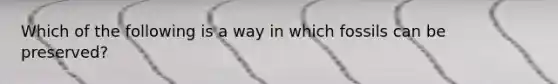 Which of the following is a way in which fossils can be preserved?