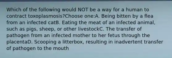 Which of the following would NOT be a way for a human to contract toxoplasmosis?Choose one:A. Being bitten by a flea from an infected catB. Eating the meat of an infected animal, such as pigs, sheep, or other livestockC. The transfer of pathogen from an infected mother to her fetus through the placentaD. Scooping a litterbox, resulting in inadvertent transfer of pathogen to the mouth