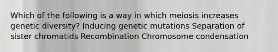 Which of the following is a way in which meiosis increases genetic diversity? Inducing genetic mutations Separation of sister chromatids Recombination Chromosome condensation