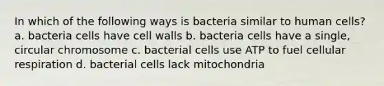 In which of the following ways is bacteria similar to human cells? a. bacteria cells have cell walls b. bacteria cells have a single, circular chromosome c. bacterial cells use ATP to fuel <a href='https://www.questionai.com/knowledge/k1IqNYBAJw-cellular-respiration' class='anchor-knowledge'>cellular respiration</a> d. bacterial cells lack mitochondria