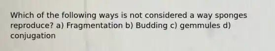 Which of the following ways is not considered a way sponges reproduce? a) Fragmentation b) Budding c) gemmules d) conjugation