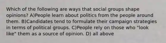 Which of the following are ways that social groups shape opinions? A)People learn about politics from the people around them. B)Candidates tend to formulate their campaign strategies in terms of political groups. C)People rely on those who "look like" them as a source of opinion. D) all above