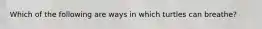 Which of the following are ways in which turtles can breathe?