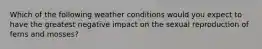 Which of the following weather conditions would you expect to have the greatest negative impact on the sexual reproduction of ferns and mosses?