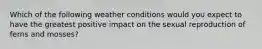 Which of the following weather conditions would you expect to have the greatest positive impact on the sexual reproduction of ferns and mosses?