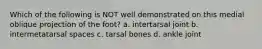 Which of the following is NOT well demonstrated on this medial oblique projection of the foot? a. intertarsal joint b. intermetatarsal spaces c. tarsal bones d. ankle joint