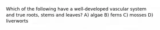 Which of the following have a well-developed vascular system and true roots, stems and leaves? A) algae B) ferns C) mosses D) liverworts