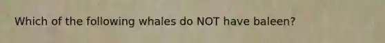 Which of the following whales do NOT have baleen?