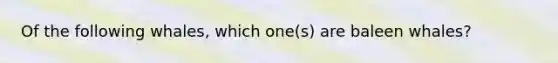 Of the following whales, which one(s) are baleen whales?