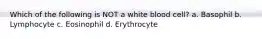 Which of the following is NOT a white blood cell? a. Basophil b. Lymphocyte c. Eosinophil d. Erythrocyte