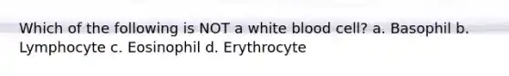 Which of the following is NOT a white blood cell? a. Basophil b. Lymphocyte c. Eosinophil d. Erythrocyte