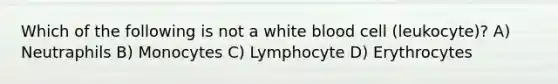 Which of the following is not a white blood cell (leukocyte)? A) Neutraphils B) Monocytes C) Lymphocyte D) Erythrocytes