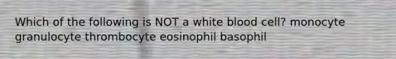 Which of the following is NOT a white blood cell? monocyte granulocyte thrombocyte eosinophil basophil