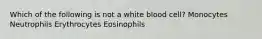 Which of the following is not a white blood cell? Monocytes Neutrophils Erythrocytes Eosinophils