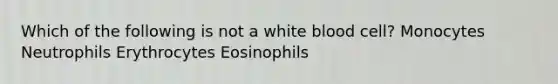 Which of the following is not a white blood cell? Monocytes Neutrophils Erythrocytes Eosinophils