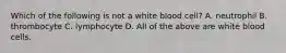 Which of the following is not a white blood cell? A. neutrophil B. thrombocyte C. lymphocyte D. All of the above are white blood cells.
