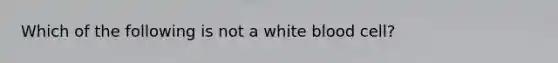 Which of the following is not a white blood​ cell?