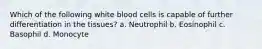 Which of the following white blood cells is capable of further differentiation in the tissues? a. Neutrophil b. Eosinophil c. Basophil d. Monocyte