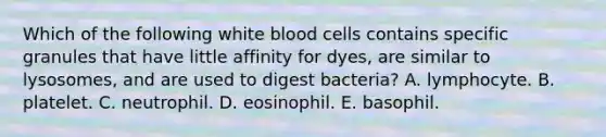 Which of the following white blood cells contains specific granules that have little affinity for dyes, are similar to lysosomes, and are used to digest bacteria? A. lymphocyte. B. platelet. C. neutrophil. D. eosinophil. E. basophil.