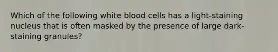 Which of the following white blood cells has a light-staining nucleus that is often masked by the presence of large dark-staining granules?