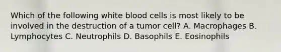 Which of the following white blood cells is most likely to be involved in the destruction of a tumor cell? A. Macrophages B. Lymphocytes C. Neutrophils D. Basophils E. Eosinophils