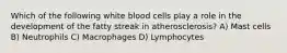 Which of the following white blood cells play a role in the development of the fatty streak in atherosclerosis? A) Mast cells B) Neutrophils C) Macrophages D) Lymphocytes