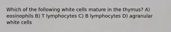 Which of the following white cells mature in the thymus? A) eosinophils B) T lymphocytes C) B lymphocytes D) agranular white cells