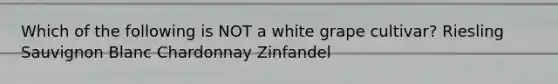 Which of the following is NOT a white grape cultivar? Riesling Sauvignon Blanc Chardonnay Zinfandel
