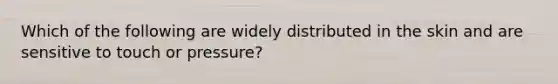 Which of the following are widely distributed in the skin and are sensitive to touch or pressure?