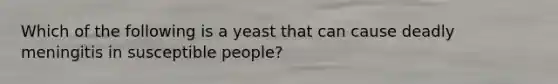 Which of the following is a yeast that can cause deadly meningitis in susceptible people?