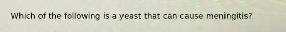 Which of the following is a yeast that can cause meningitis?