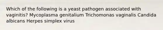 Which of the following is a yeast pathogen associated with vaginitis? Mycoplasma genitalium Trichomonas vaginalis Candida albicans Herpes simplex virus