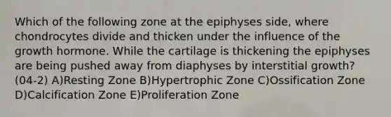 Which of the following zone at the epiphyses side, where chondrocytes divide and thicken under the influence of the growth hormone. While the cartilage is thickening the epiphyses are being pushed away from diaphyses by interstitial growth? (04-2) A)Resting Zone B)Hypertrophic Zone C)Ossification Zone D)Calcification Zone E)Proliferation Zone