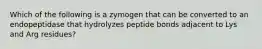 Which of the following is a zymogen that can be converted to an endopeptidase that hydrolyzes peptide bonds adjacent to Lys and Arg residues?