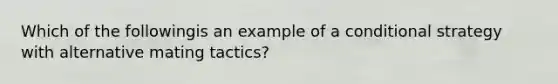 Which of the followingis an example of a conditional strategy with alternative mating tactics? ​