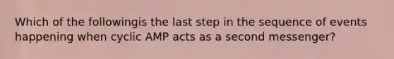 Which of the followingis the last step in the sequence of events happening when cyclic AMP acts as a second messenger?