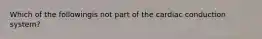 Which of the followingis not part of the cardiac conduction system?