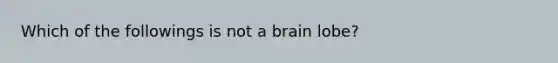 Which of the followings is not a brain lobe?