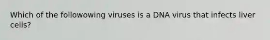 Which of the followowing viruses is a DNA virus that infects liver cells?