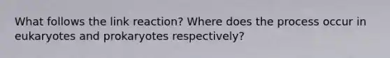 What follows the link reaction? Where does the process occur in eukaryotes and prokaryotes respectively?