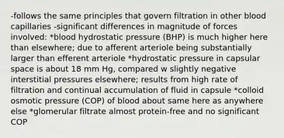 -follows the same principles that govern filtration in other blood capillaries -significant differences in magnitude of forces involved: *blood hydrostatic pressure (BHP) is much higher here than elsewhere; due to afferent arteriole being substantially larger than efferent arteriole *hydrostatic pressure in capsular space is about 18 mm Hg, compared w slightly negative interstitial pressures elsewhere; results from high rate of filtration and continual accumulation of fluid in capsule *colloid osmotic pressure (COP) of blood about same here as anywhere else *glomerular filtrate almost protein-free and no significant COP